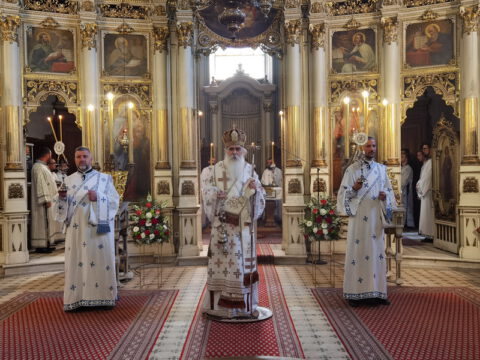 IMG_20230506_093123_resize