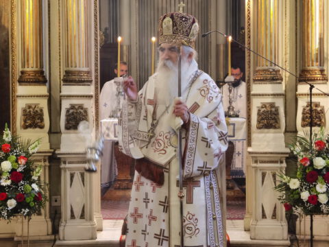 IMG_20230506_093128_resize