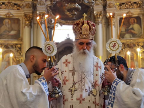 IMG_20230506_100632_resize