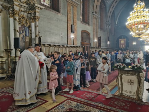 IMG_20230506_102511_resize