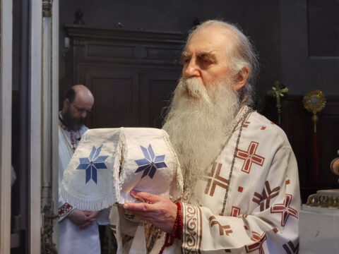 IMG_20230506_102752_resize