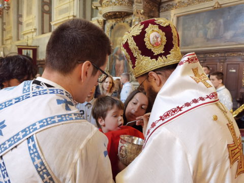 IMG_20230506_111733_resize