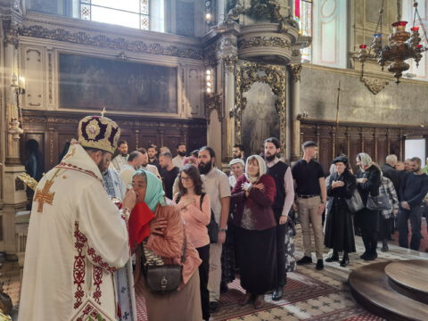 IMG_20230506_112123_resize