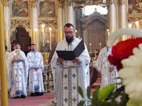 IMG_20230506_112937_resize