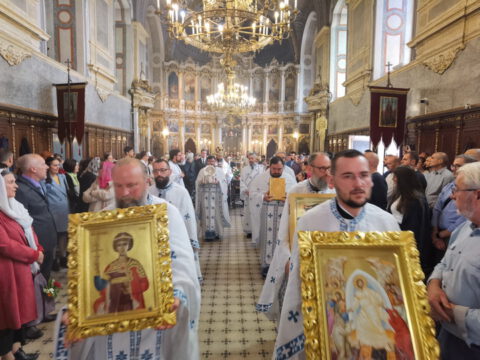 IMG_20230506_113037_resize