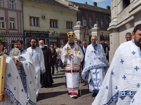 IMG_20230506_113141_resize