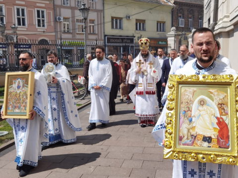 IMG_20230506_113156_resize