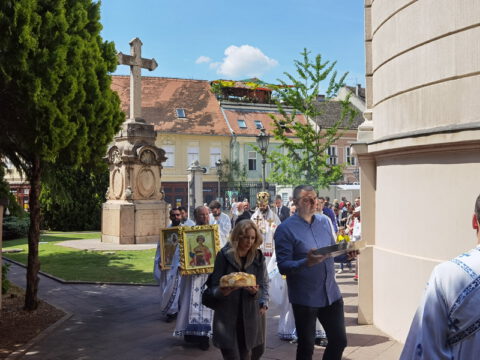 IMG_20230506_113233_resize