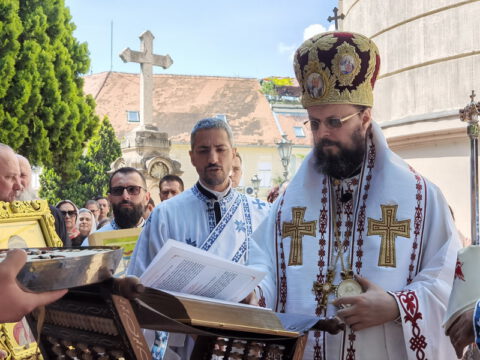 IMG_20230506_113338_resize