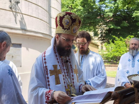 IMG_20230506_113414_resize