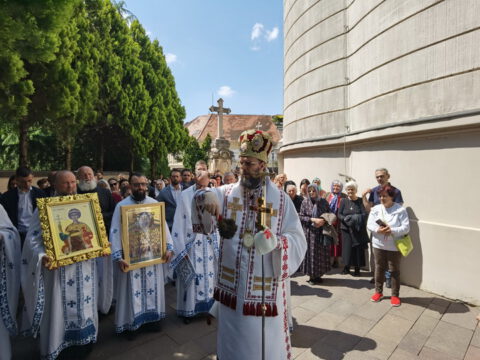 IMG_20230506_113648_resize