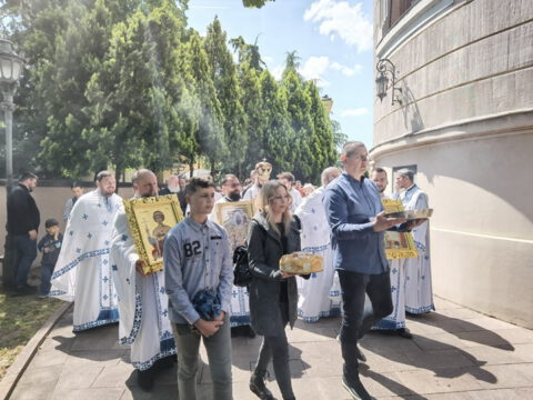 IMG_20230506_113728_resize