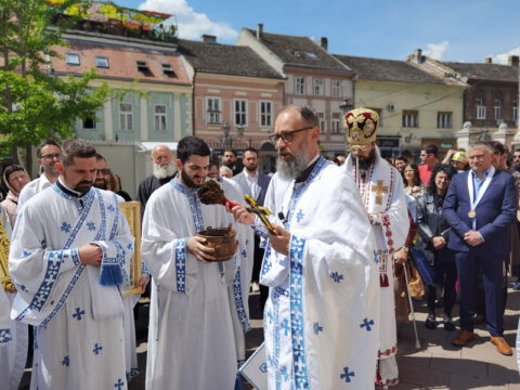 IMG_20230506_114329_resize