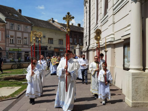 IMG_20230506_114646_resize