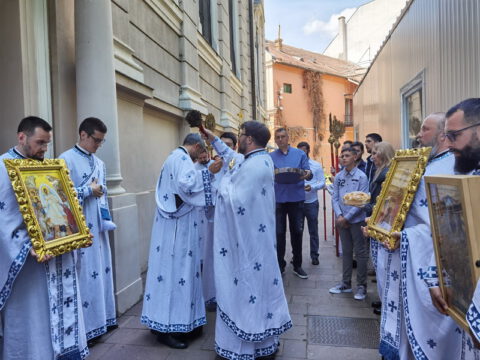 IMG_20230506_115232_resize