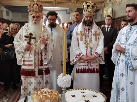 IMG_20230506_115802_resize