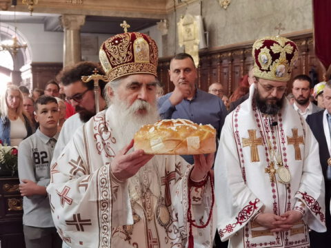 IMG_20230506_115822_resize