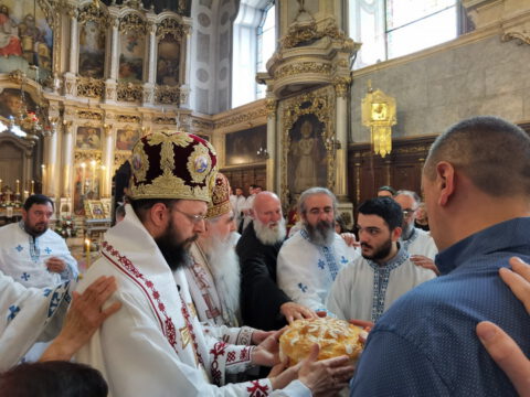 IMG_20230506_115953_resize