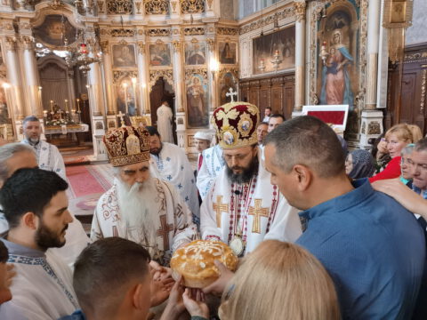 IMG_20230506_120009_resize