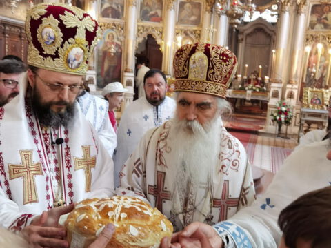 IMG_20230506_120049_resize