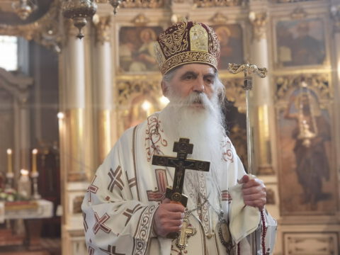 IMG_20230506_120600_resize