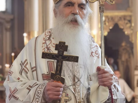 IMG_20230506_120620_resize