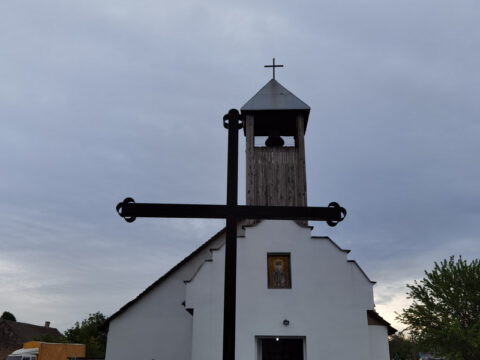 IMG_20230512_083332_resize