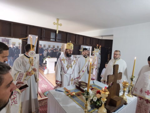 IMG_20230512_091317_resize