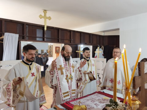 IMG_20230512_094734_resize