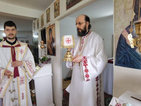 IMG_20230512_095334_resize