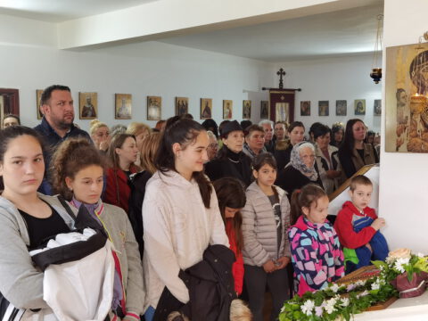 IMG_20230512_101506_resize