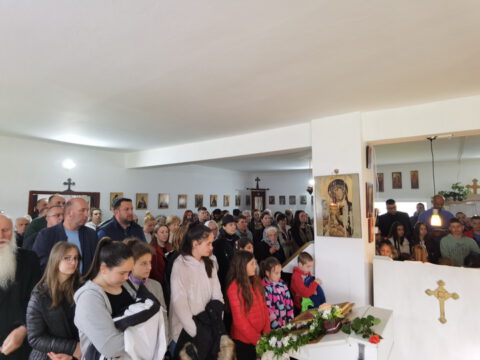 IMG_20230512_101516_resize