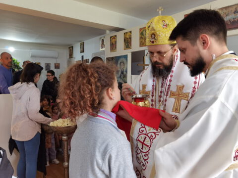 IMG_20230512_102137_resize