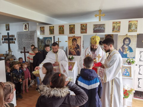 IMG_20230512_102215_resize