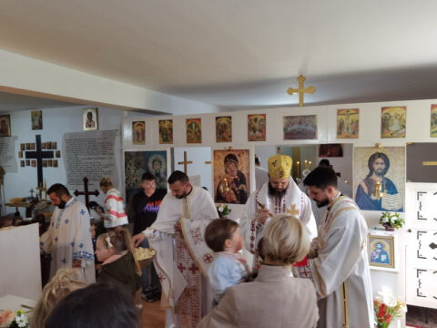 IMG_20230512_102236_resize