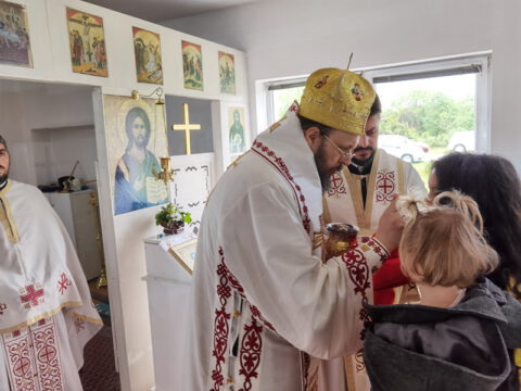 IMG_20230512_102313_resize