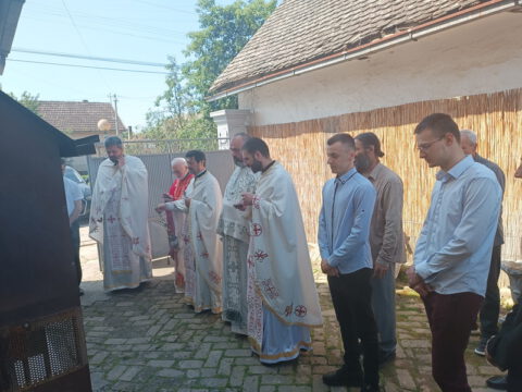 IMG_20230522_103219_resize