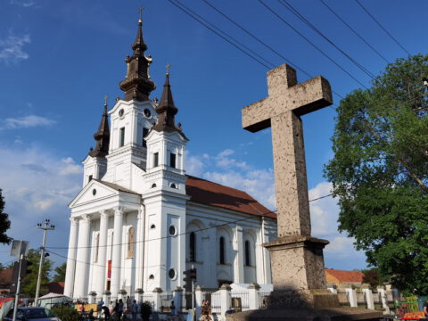 IMG_20230522_173721_resize