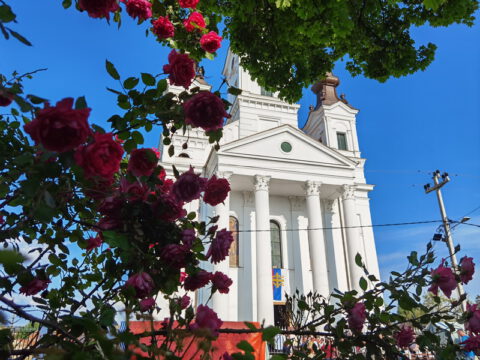 IMG_20230522_174042_resize