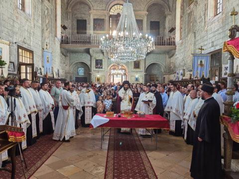 IMG_20230522_182932_resize