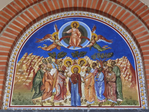 IMG_20230525_082824_resize