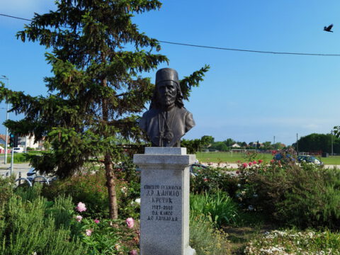 IMG_20230525_082951_resize