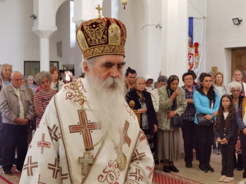 IMG_20230525_085101_resize