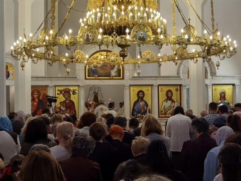 IMG_20230525_094937_resize