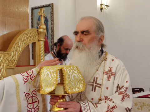 IMG_20230525_100326_resize