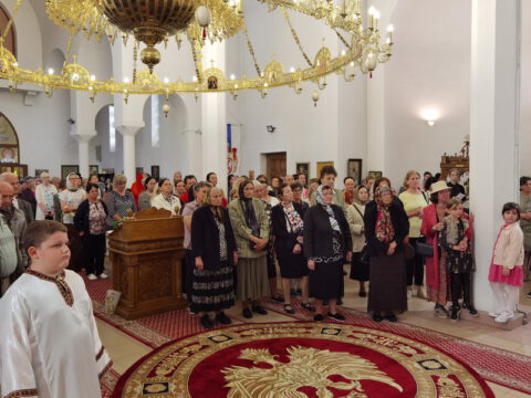 IMG_20230525_104236_resize