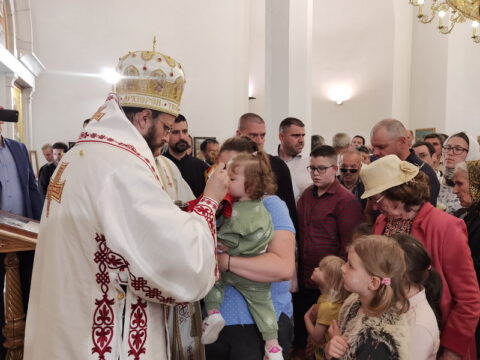 IMG_20230525_104747_resize