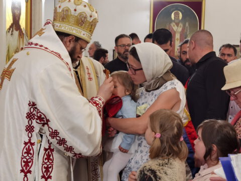 IMG_20230525_104807_resize