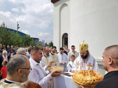 IMG_20230525_110530_resize