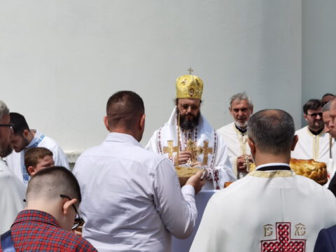 IMG_20230525_110656_resize